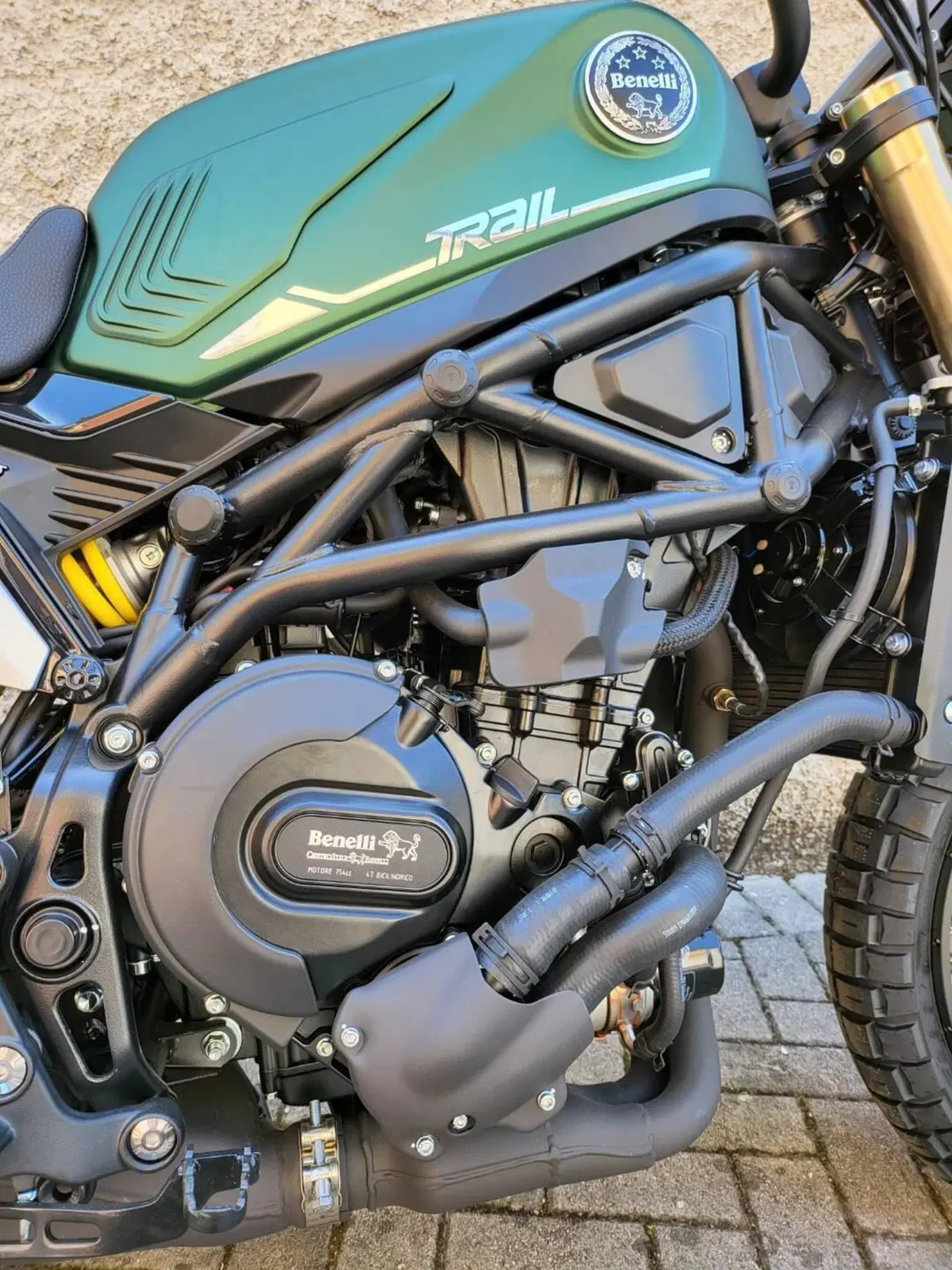 Benelli Leoncino 800 Trail (2022 - 26) (6)