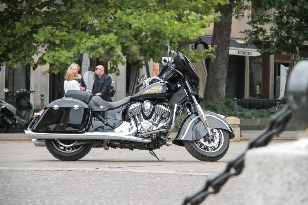 Indian Chieftain (20)