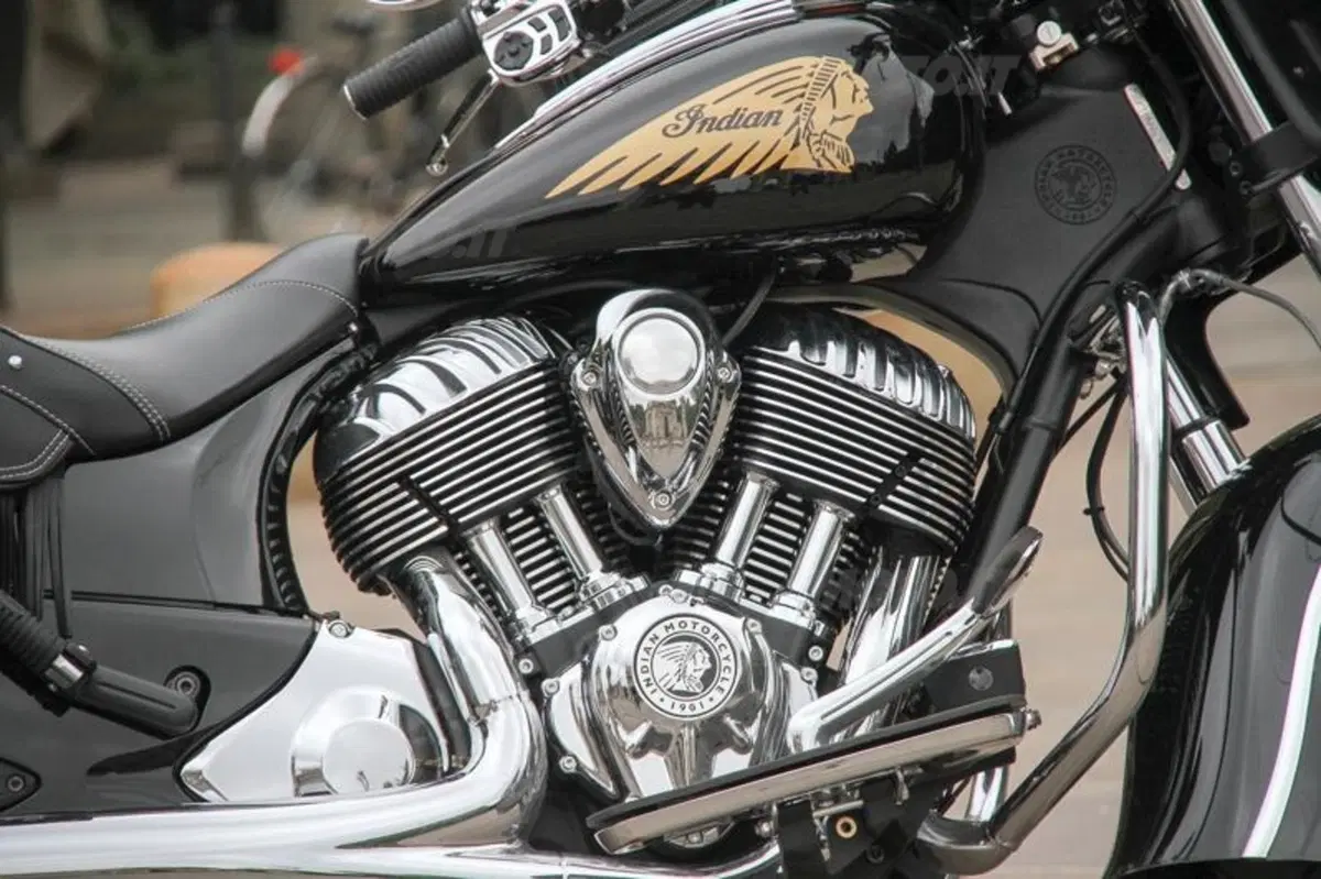 Indian Chieftain (23)