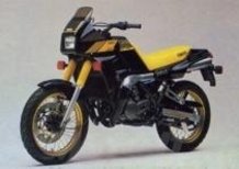 Le Belle e Possibili di Moto.it: Yamaha TDR 250