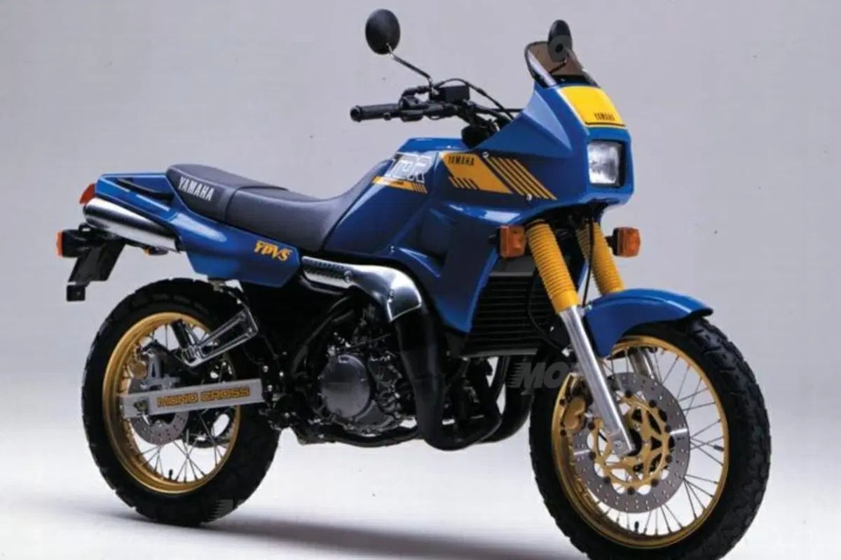 Le Belle e Possibili di Moto.it: Yamaha TDR 250 (2)