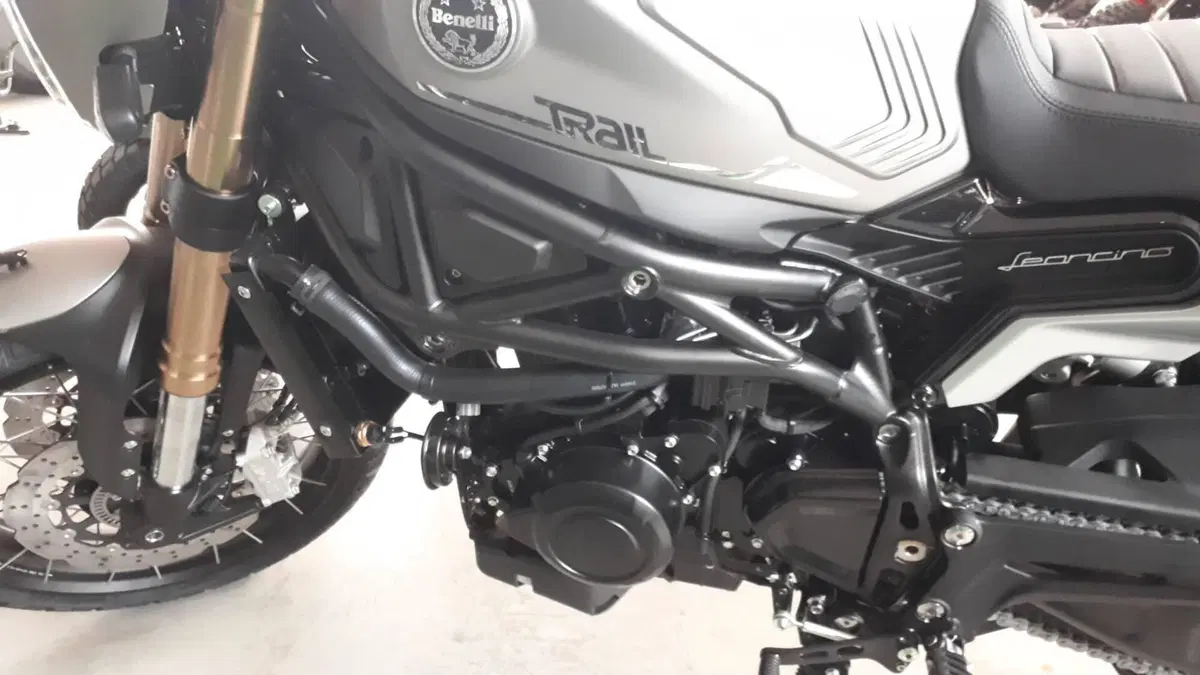 Benelli Leoncino 800 Trail (2022 - 26) (8)
