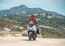 Planet Explorer 15: Corsica - Day 6: Calvi - Punta Caldanu - Foret de Bonifato - L’Ile Rousse