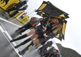 Grid Girls Pirelli