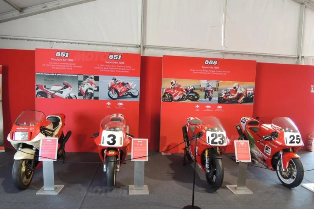 WDW 2014: Si apre e arriva Cruthlow operato (19)