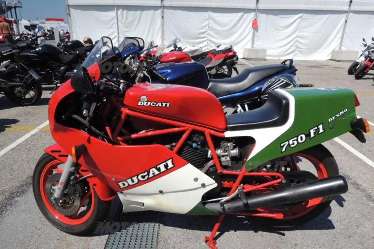 WDW 2014: Si apre e arriva Cruthlow operato (23)
