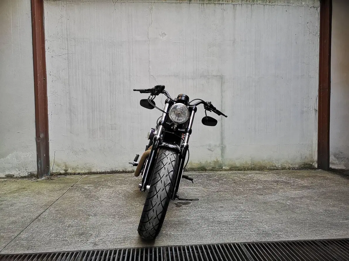 Harley-Davidson 1200 Forty-Eight (2010 - 15) (3)