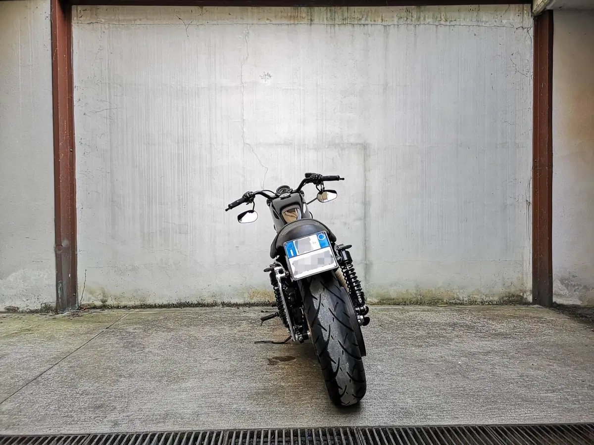 Harley-Davidson 1200 Forty-Eight (2010 - 15) (4)