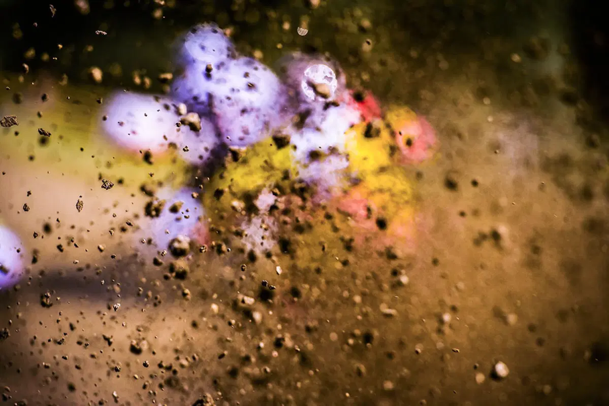 MX. Le foto più belle del GP della Repubblica Ceca (28)