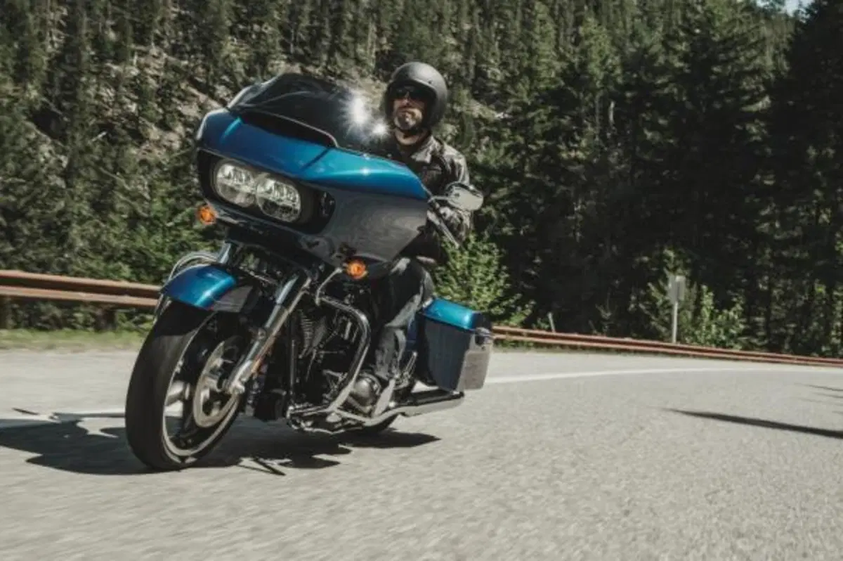 Harley-Davidson: gamma 2015 (6)