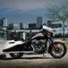 Harley-Davidson: gamma 2015