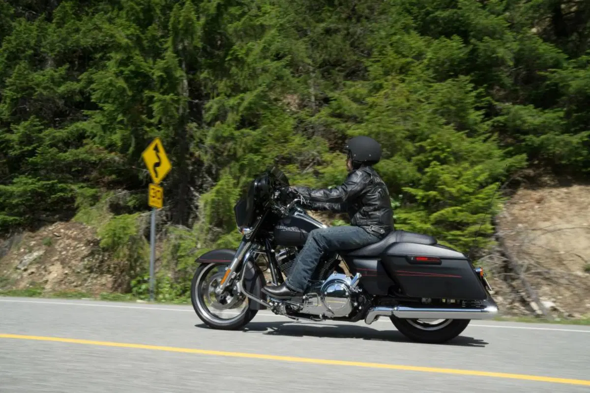 Harley-Davidson: gamma 2015 (10)