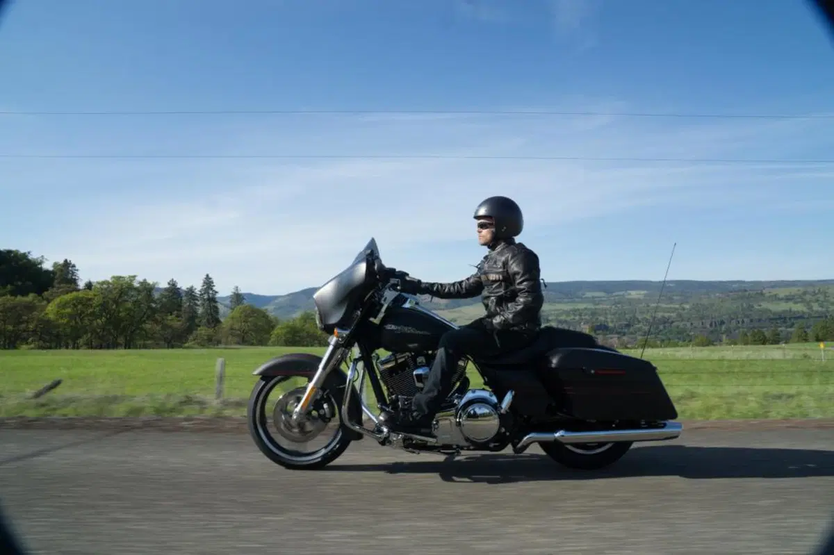 Harley-Davidson: gamma 2015 (12)