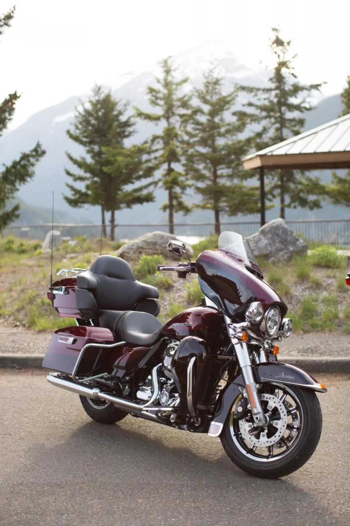 Harley-Davidson: gamma 2015 (15)