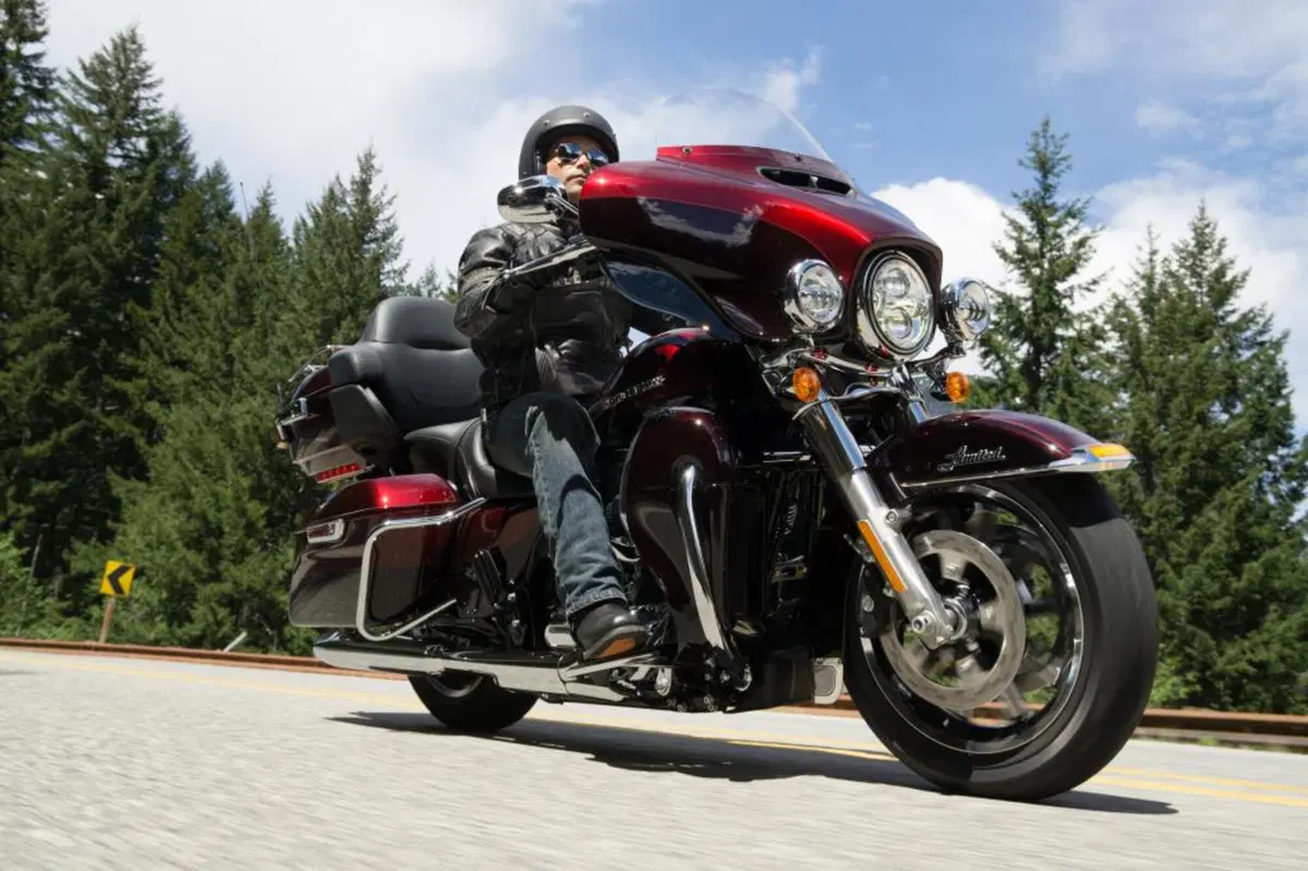 Harley-Davidson: gamma 2015 (16)