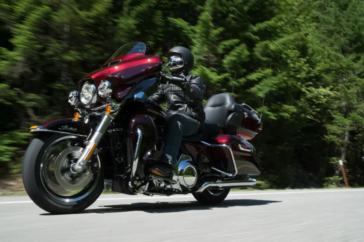 Harley-Davidson: gamma 2015 (18)