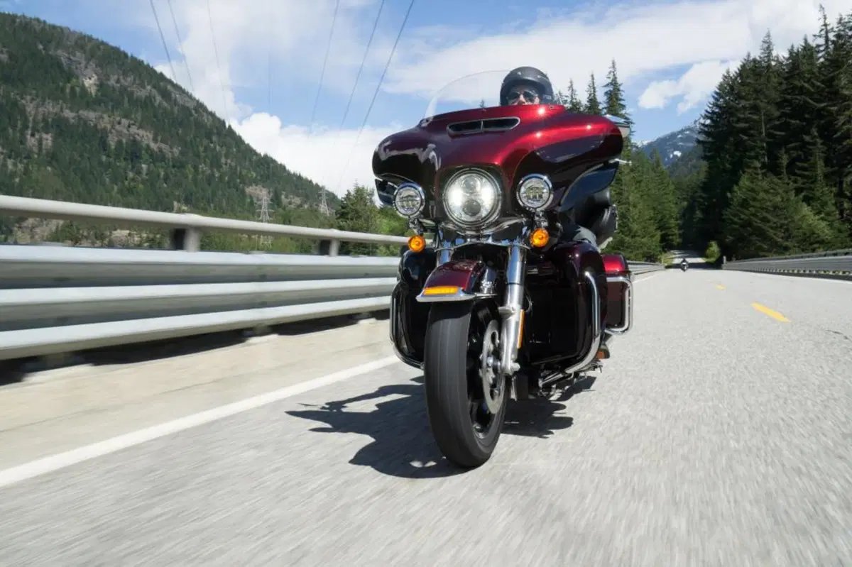 Harley-Davidson: gamma 2015 (17)
