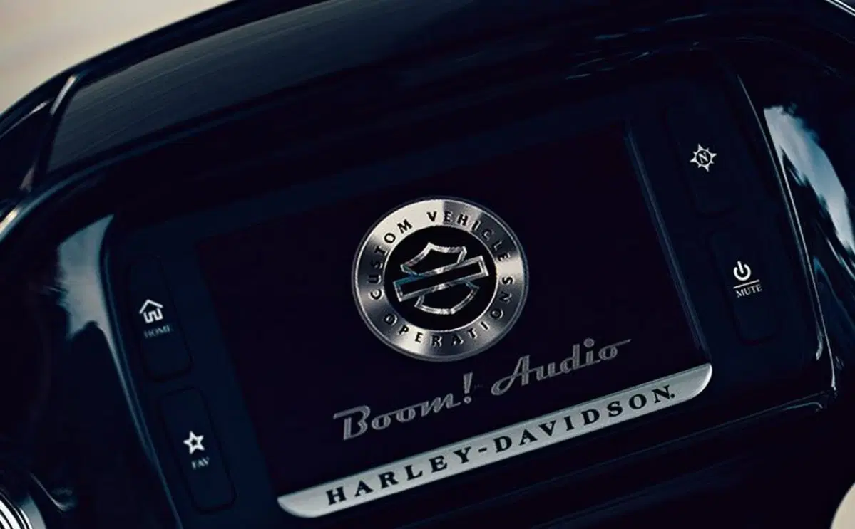 Harley-Davidson: gamma 2015 (23)