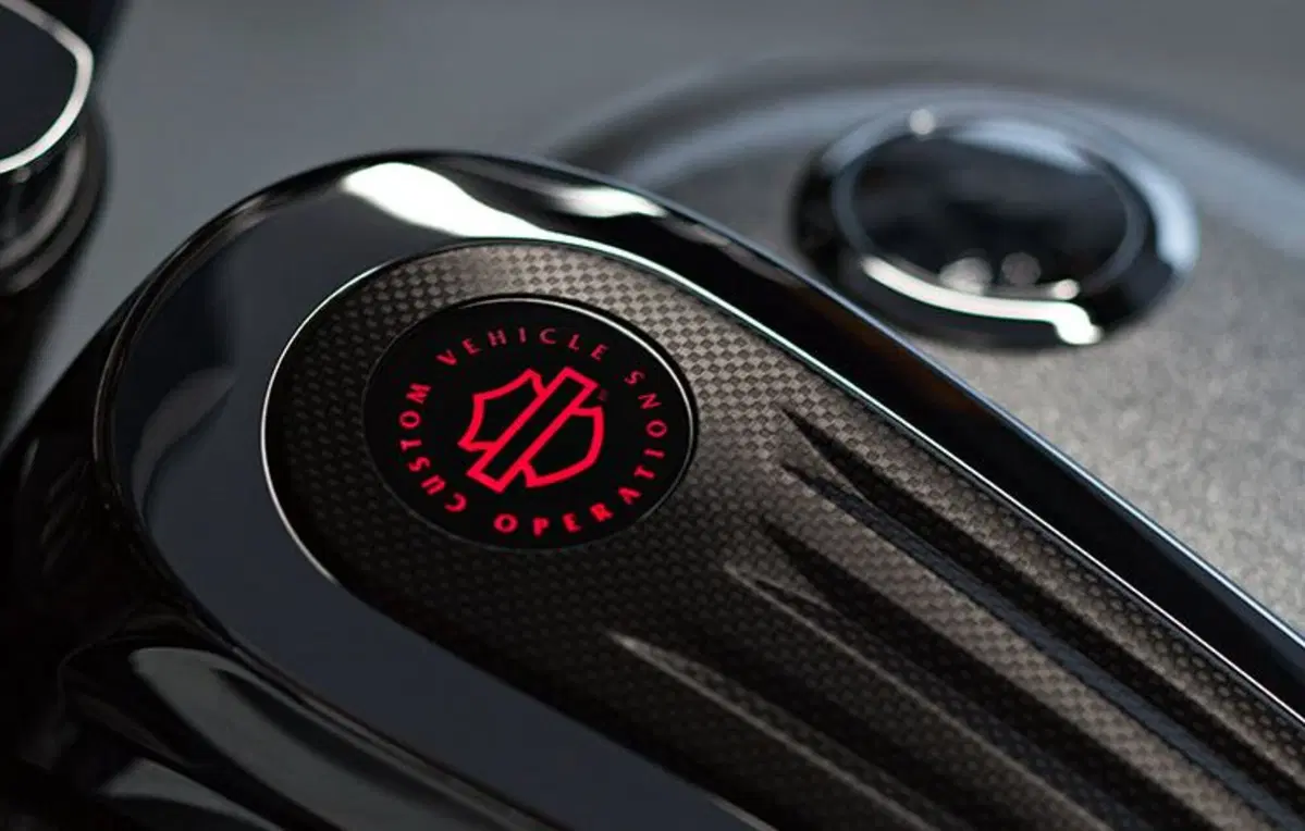 Harley-Davidson: gamma 2015 (20)