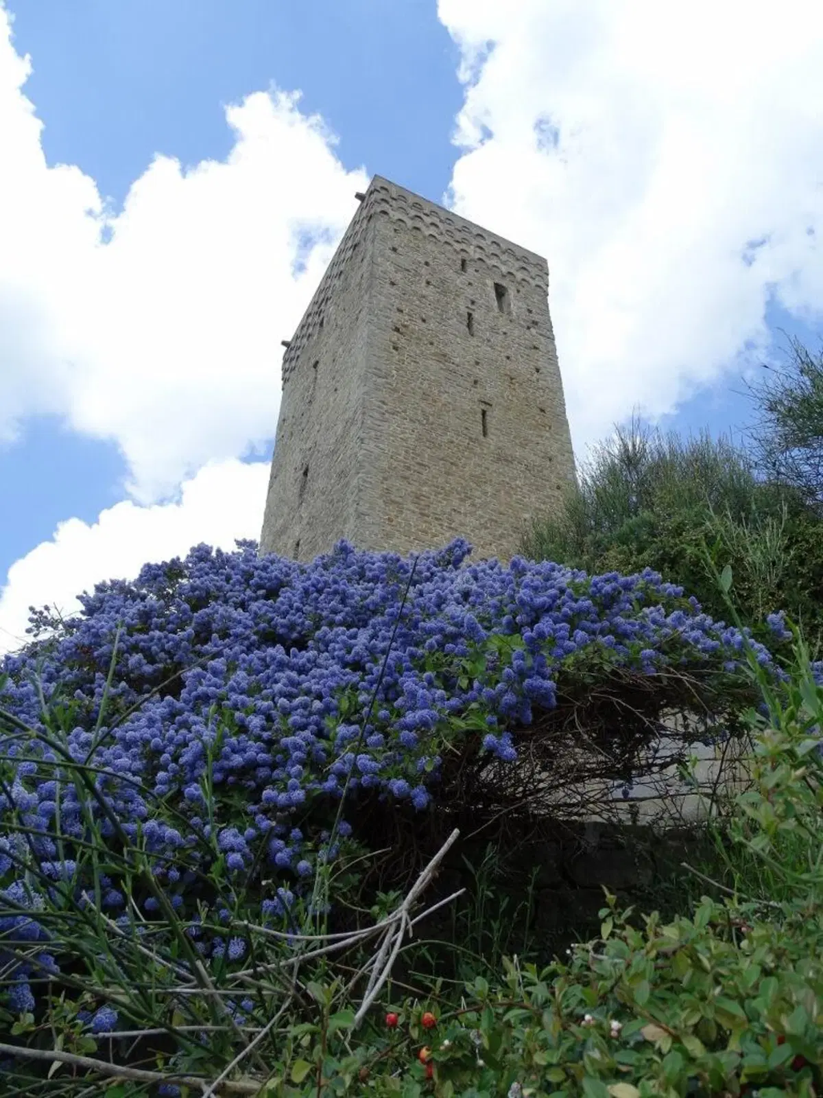 I viaggi dei lettori: Robiola Tour (8)