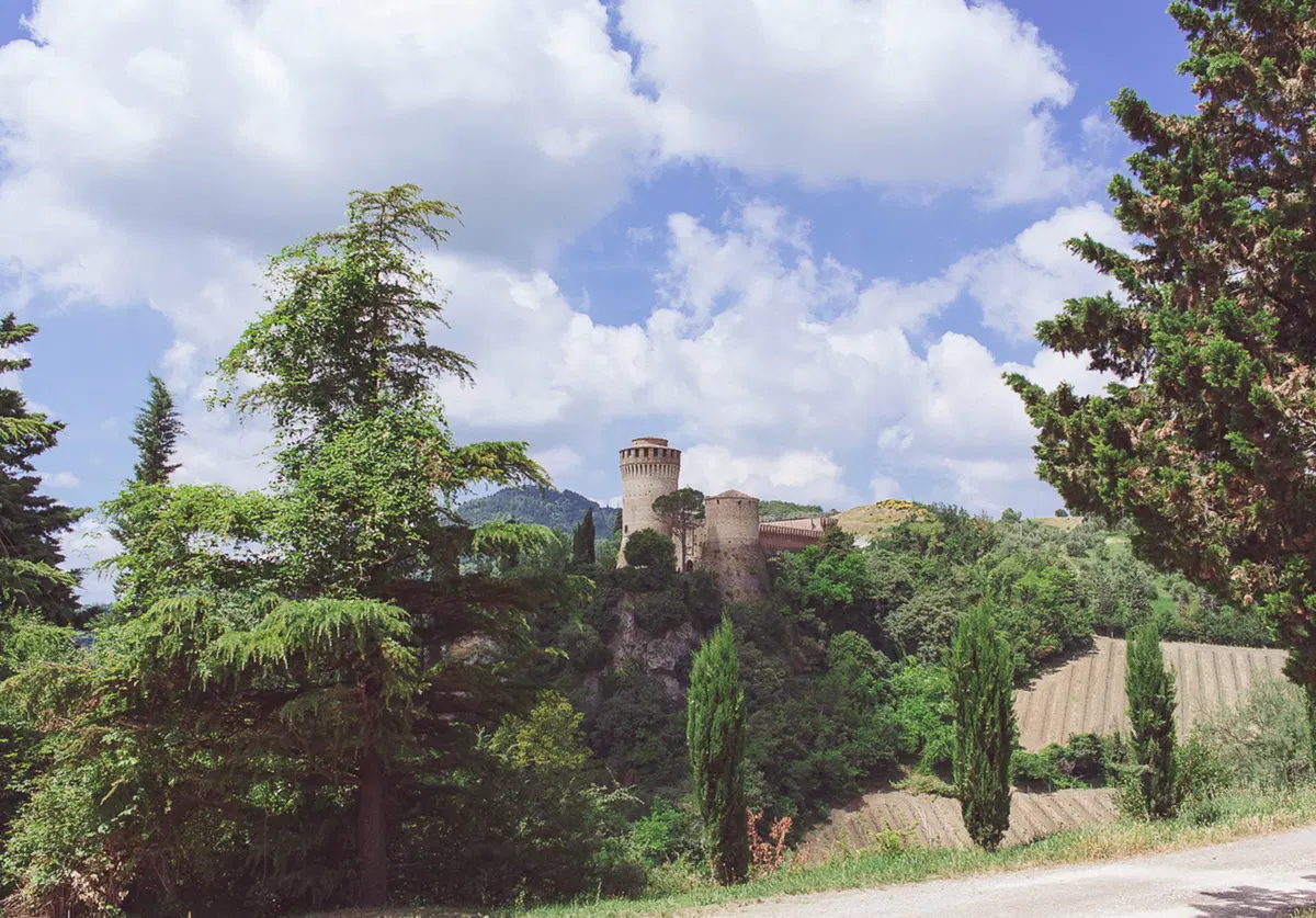 Harley-Davidson Discover More: l'ultima tappa all'European Bike Week (8)