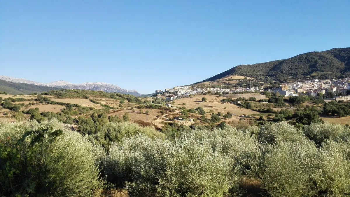Viaggi. Sardegna, alla scoperta della Barbagia (7)