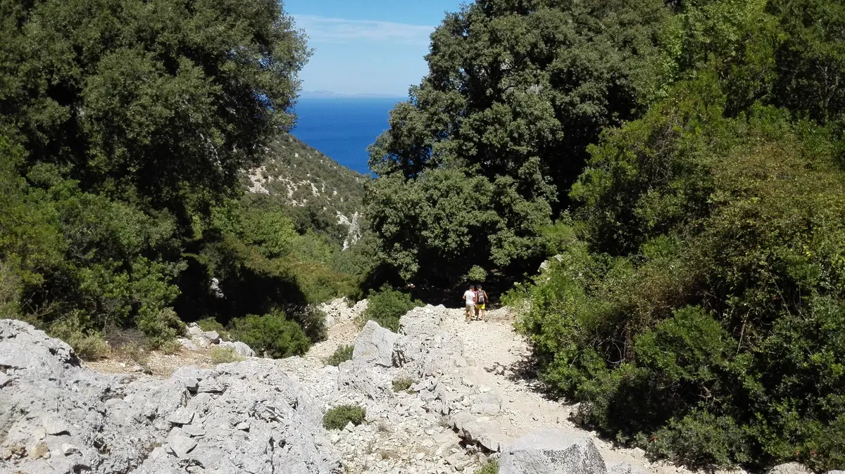 Viaggi. Sardegna, alla scoperta della Barbagia (35)