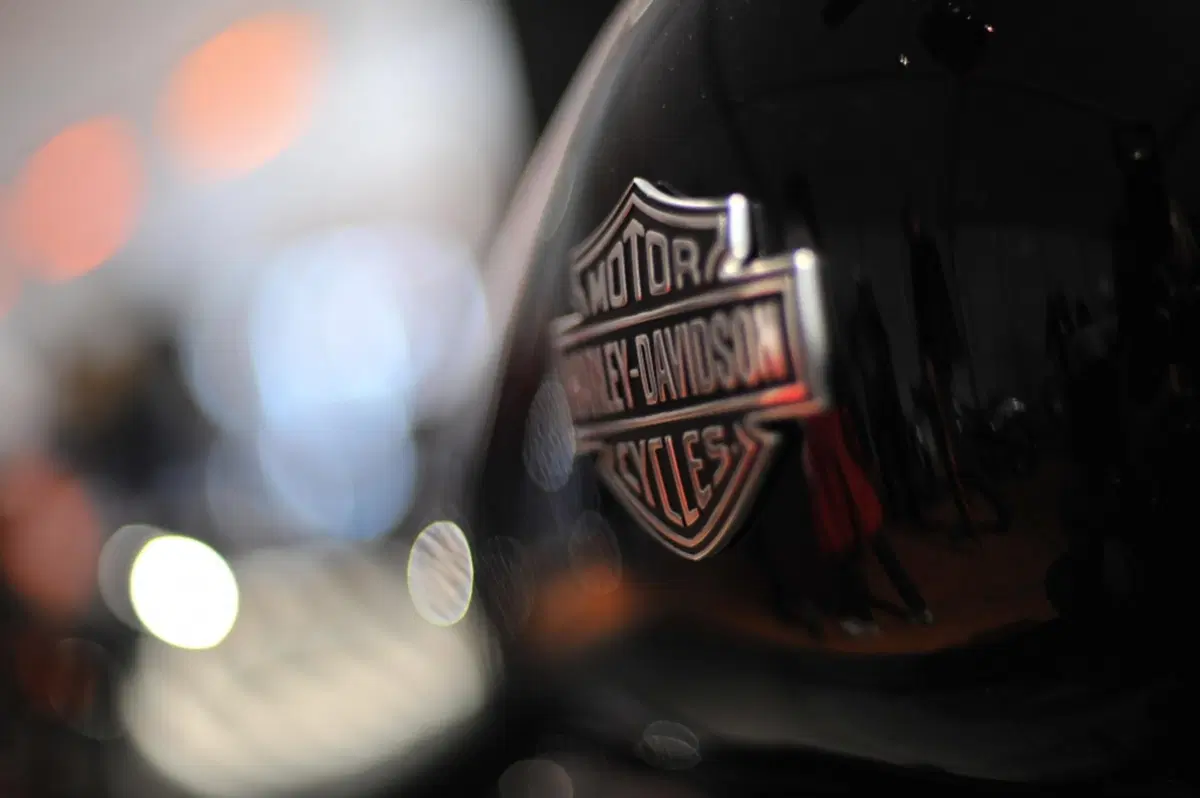 Faaker See 2014: le prime Harley sono arrivate (5)