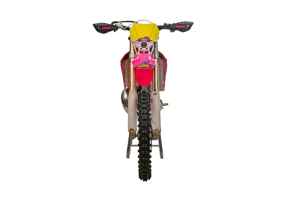 Tm Moto EN 300 EN 300 ES 2T Pink (2023) (4)