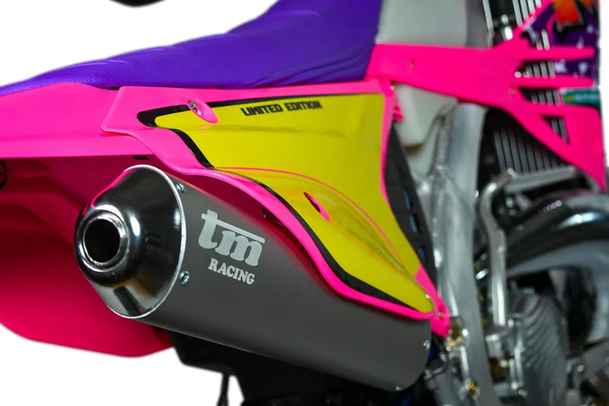 Tm Moto EN 300 EN 300 ES 2T Pink (2023) (8)
