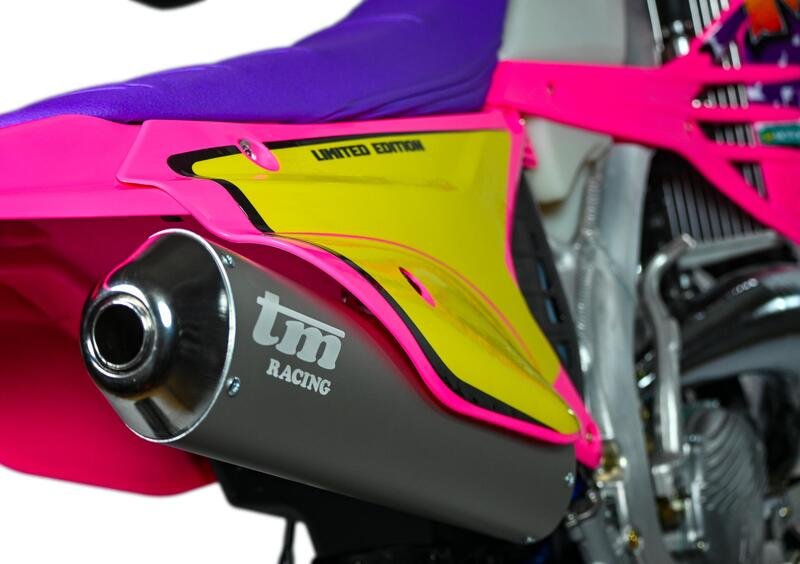 Tm Moto EN 300 EN 300 ES 2T Pink (2023) (8)