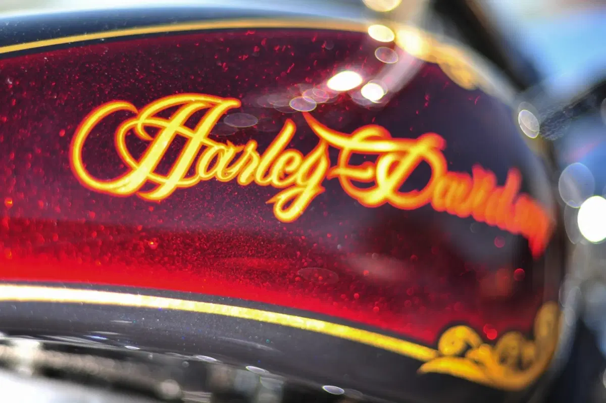 Harley Davidson: Le immagini più belle del Faaker See 2014 (25)