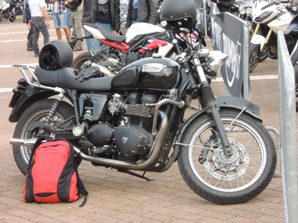 Tweekend 2014. Le foto del raduno Triumph 2014 (9)