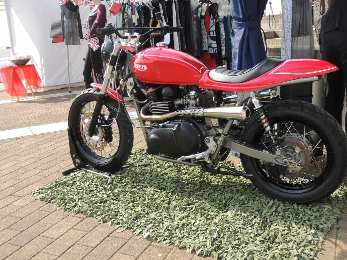 Tweekend 2014. Le foto del raduno Triumph 2014 (15)