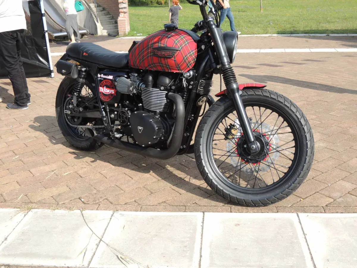 Tweekend 2014. Le foto del raduno Triumph 2014 (16)