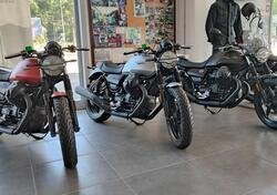 Moto Guzzi V7 Stone (2021 - 24) nuova