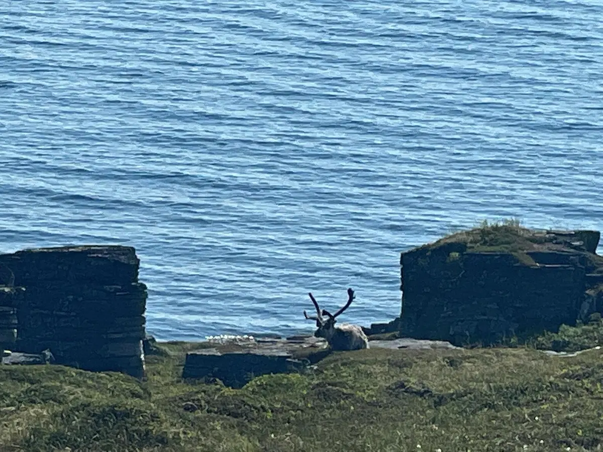 Altre Mete: diario di viaggio! 29 giugno (4)