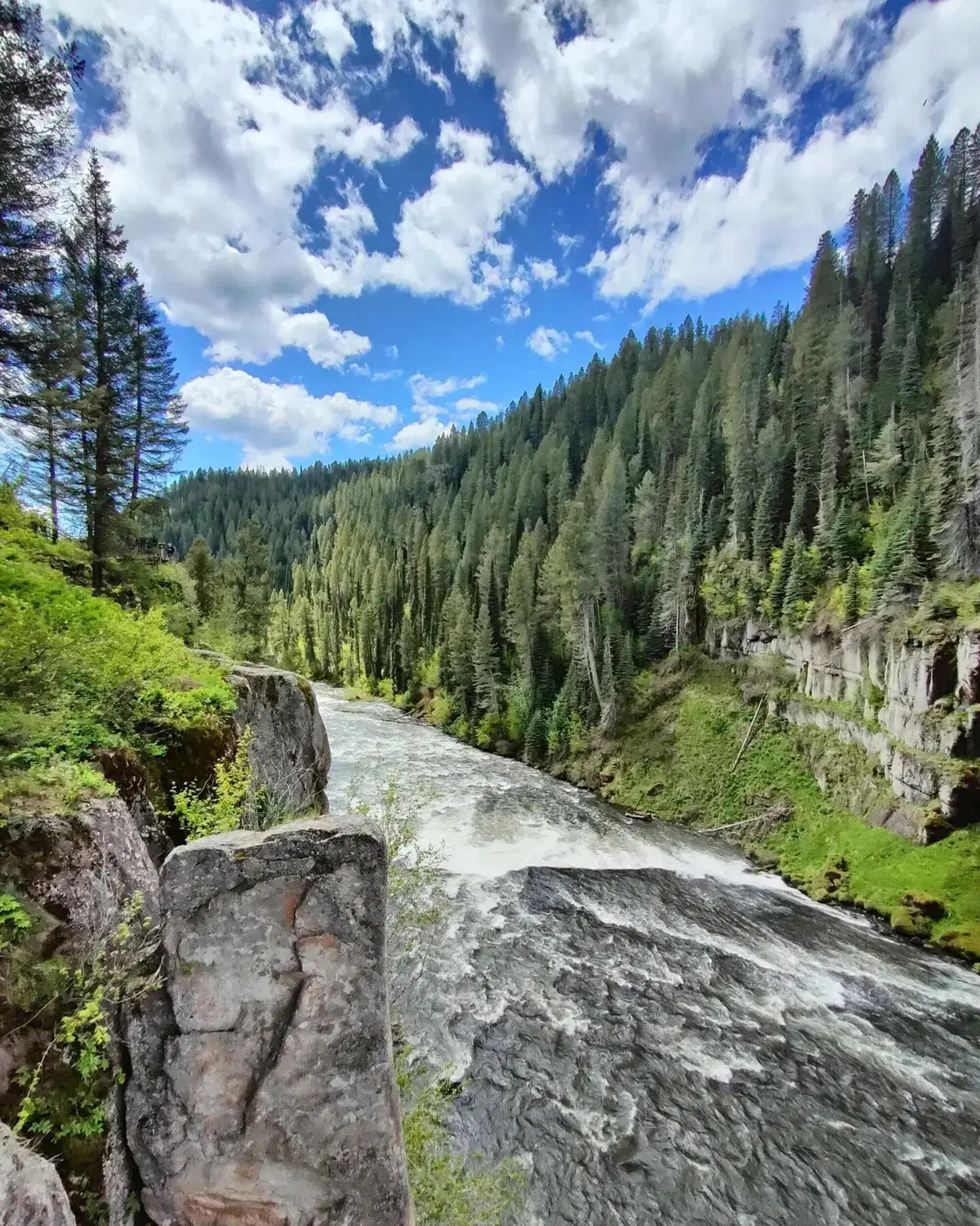 USA IN MOTO! Idaho, Montana, Wyoming, Yellowstone: 1.000 km tra orsi e bisonti con gli amici di KLIM (18)