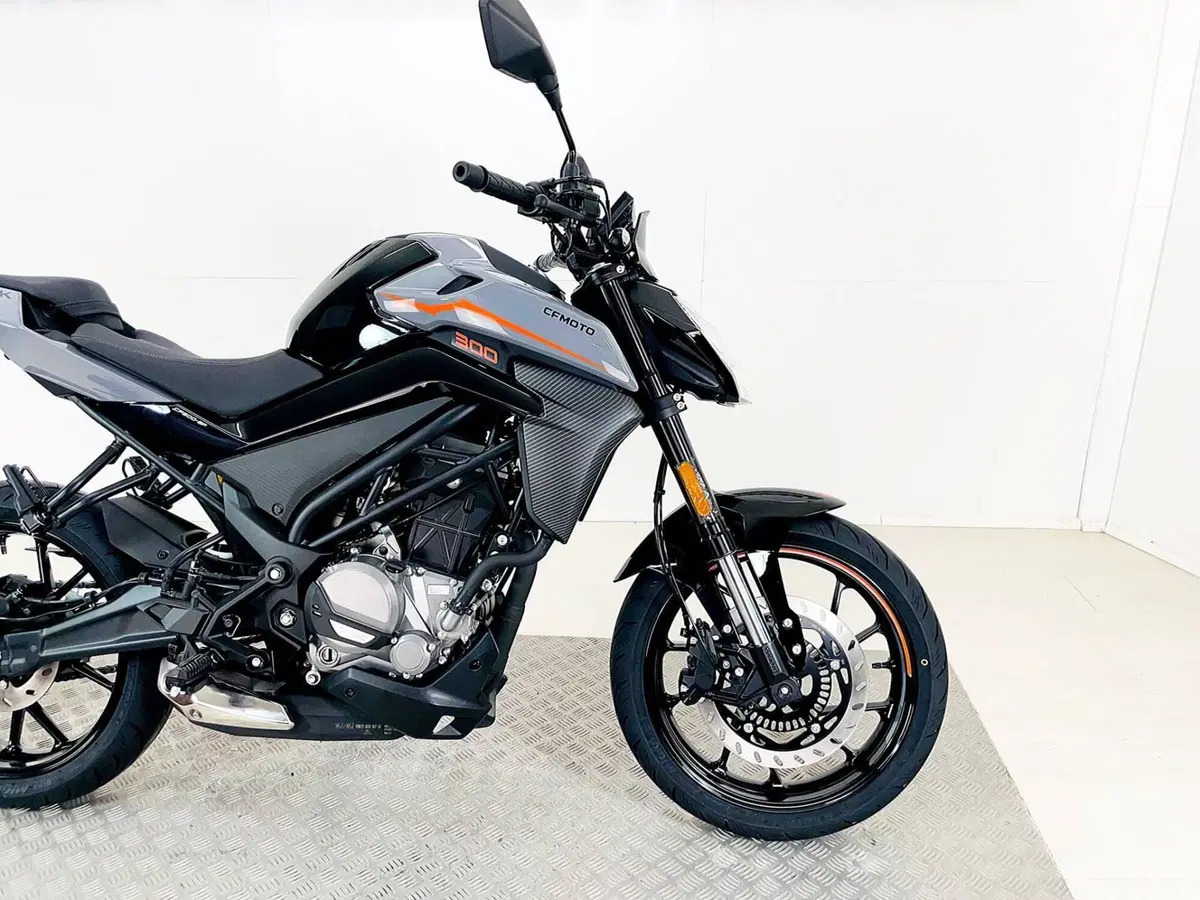 CFMOTO 300NK (2021 - 26) (10)
