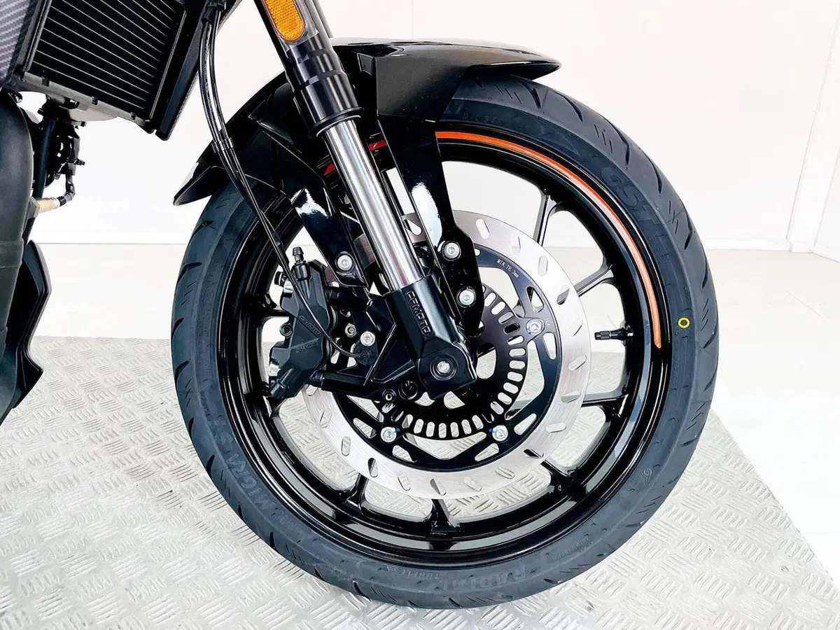 CFMOTO 300NK (2021 - 26) (11)