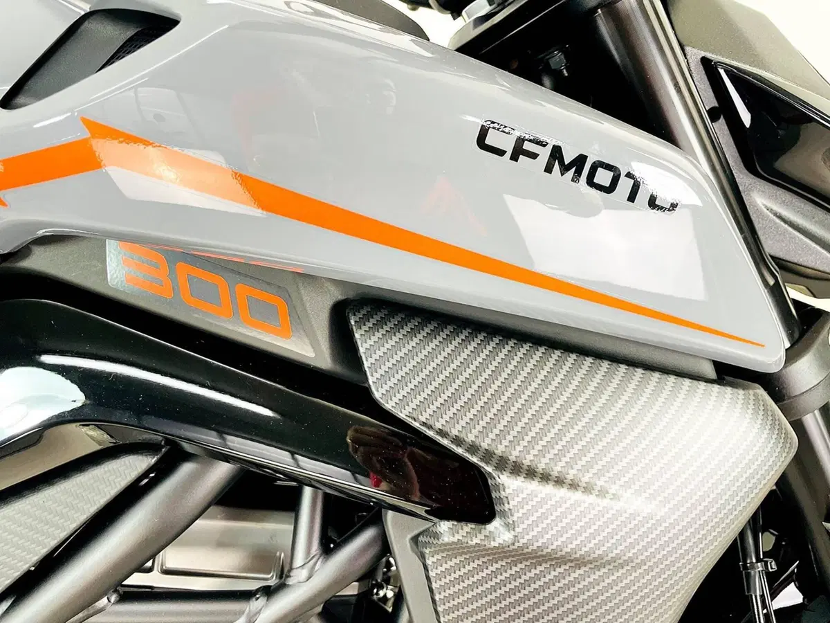 CFMOTO 300NK (2021 - 26) (7)