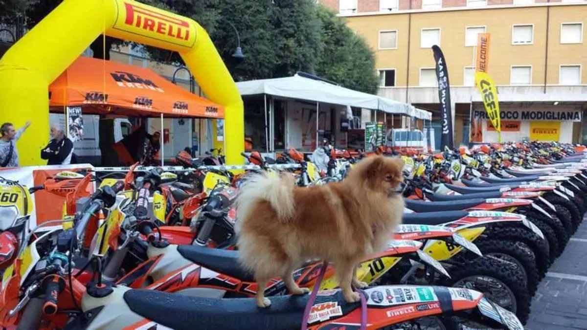 Trofeo Enduro KTM a Modigliana. Meraviglie d'Italia (6)