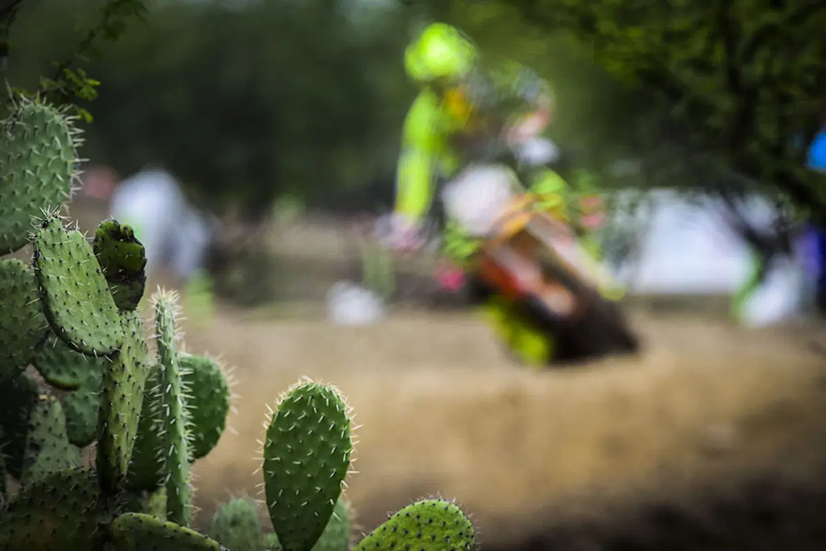 Motocross. Le foto più belle del GP del Messico (5)