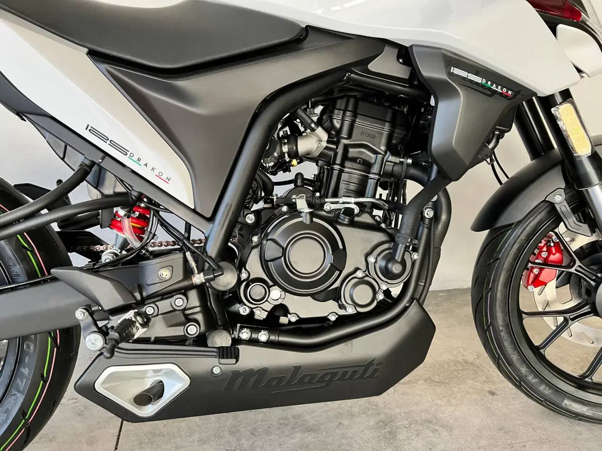 Malaguti Drakon 125 (2022 - 26) (6)