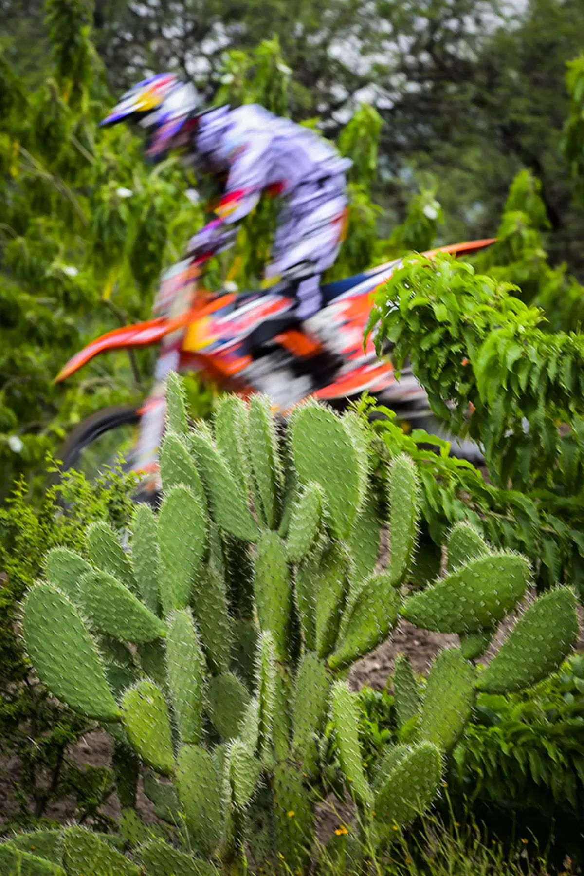 Motocross. Le foto più belle del GP del Messico (49)