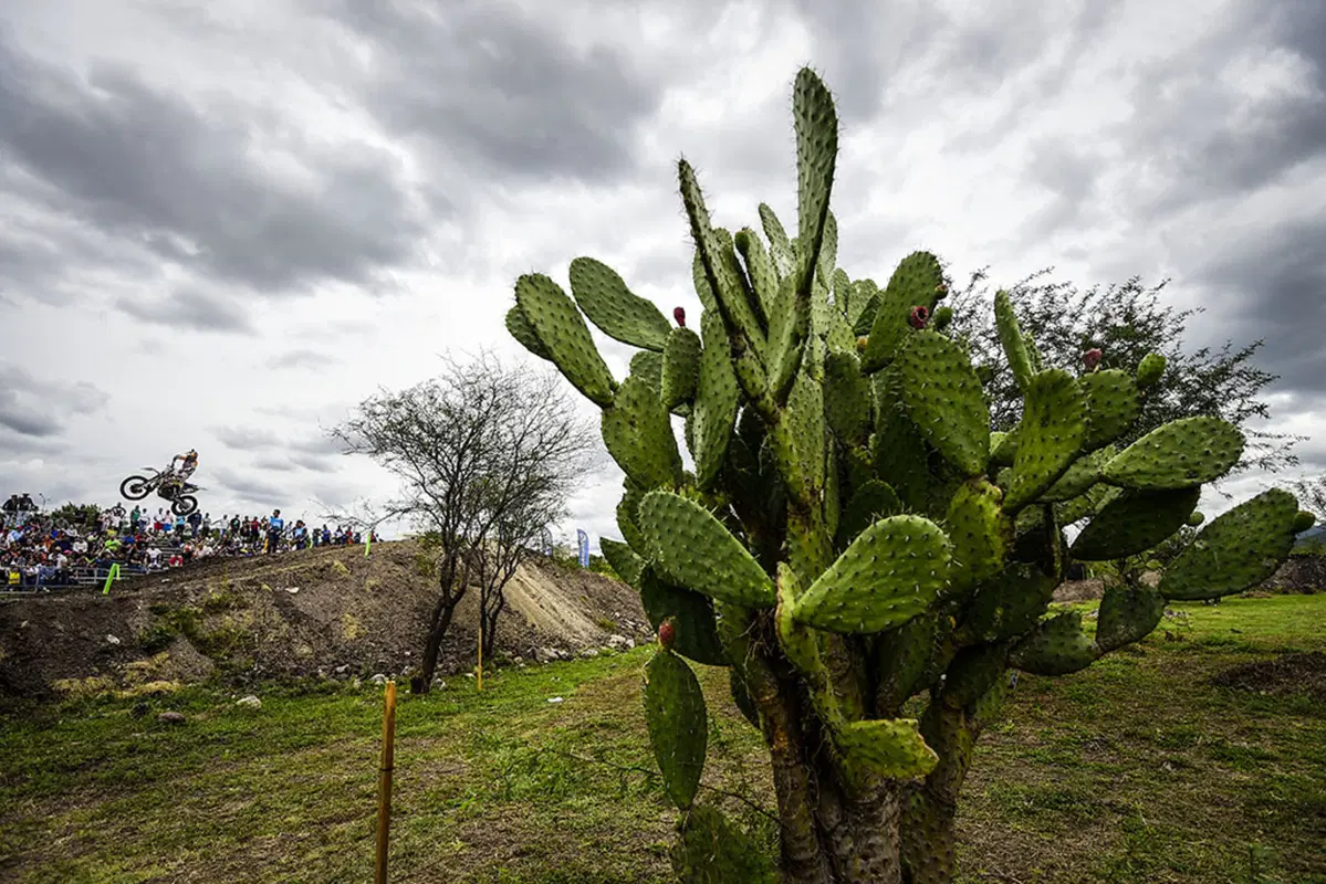 Motocross. Le foto più belle del GP del Messico (54)