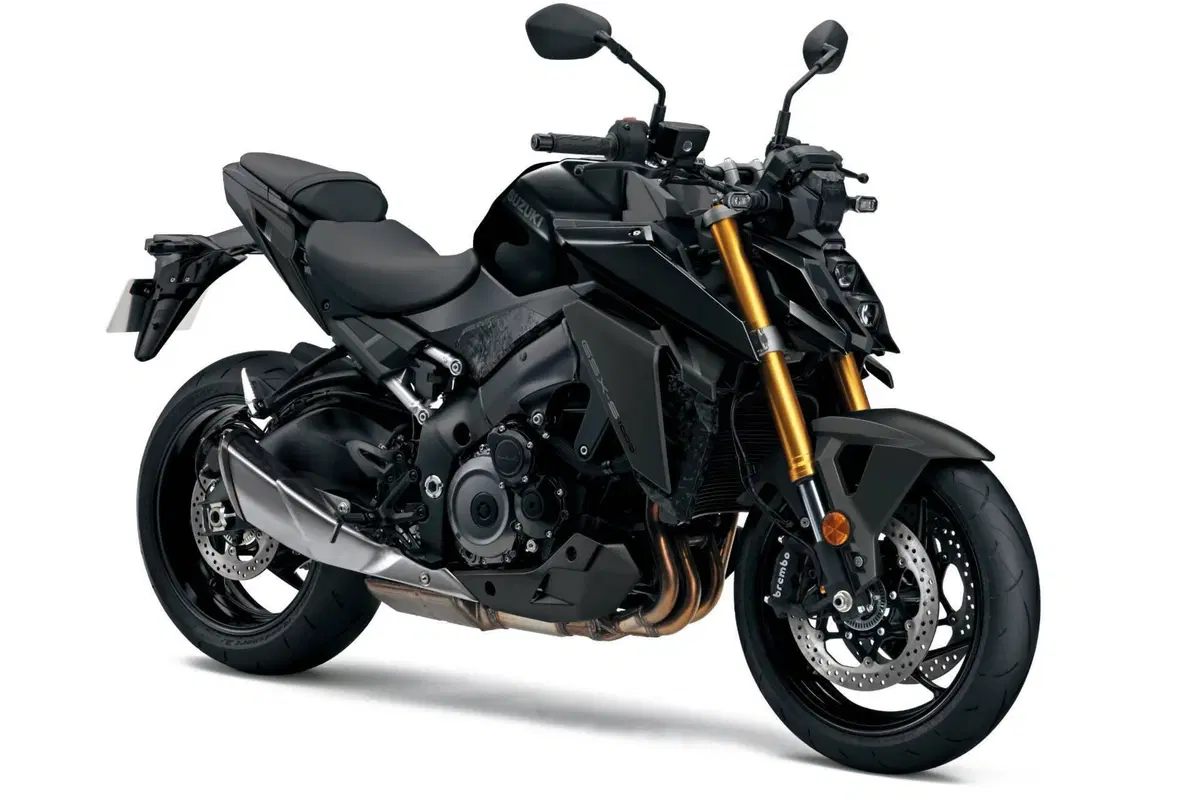 Suzuki GSX-S1000 (2021 - 25) (2)