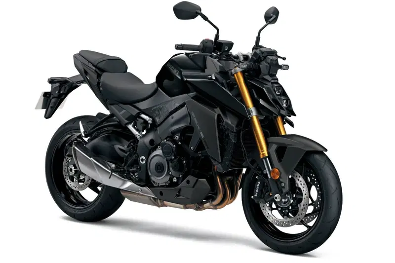 Suzuki GSX-S1000 (2021 - 25) (2)