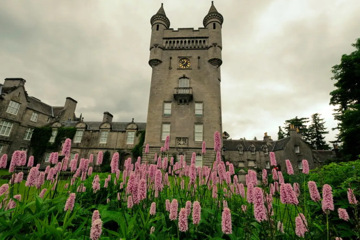Planet Explorer 9, Scotland - Day 3 (3)