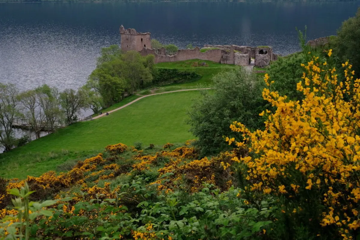 Planet Explorer 9, Scotland - Day 3 (10)
